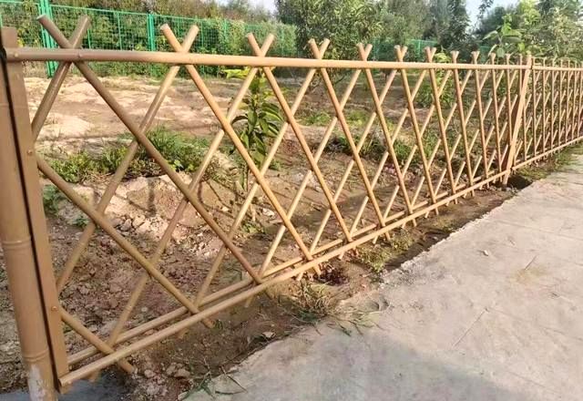 49331666248740.jpg 49331666248740.jpg